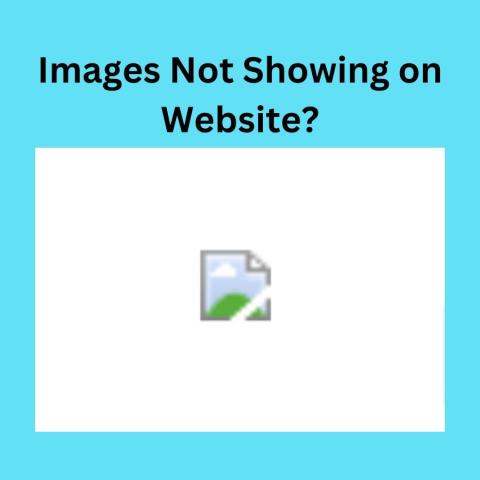 Fixing Image Links After a WordPress Migration to a sub folder