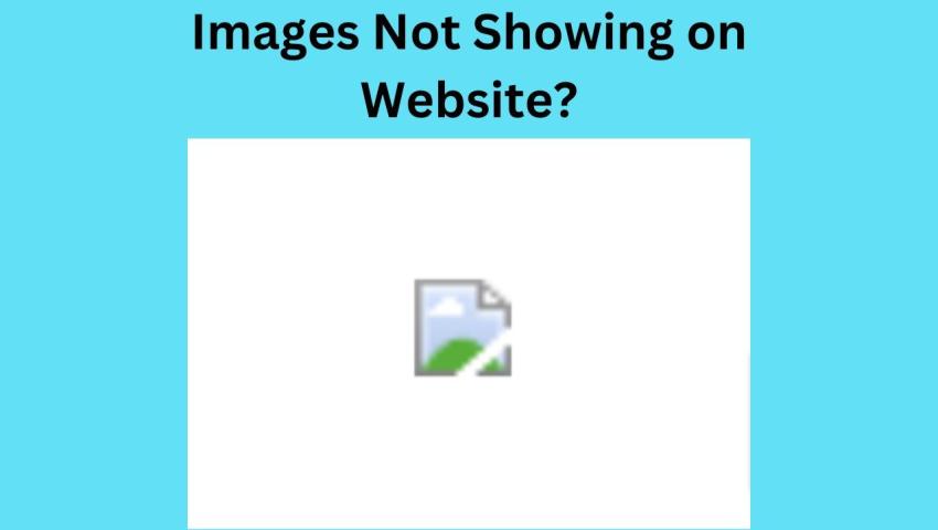 Fixing Image Links After a WordPress Migration to a sub folder